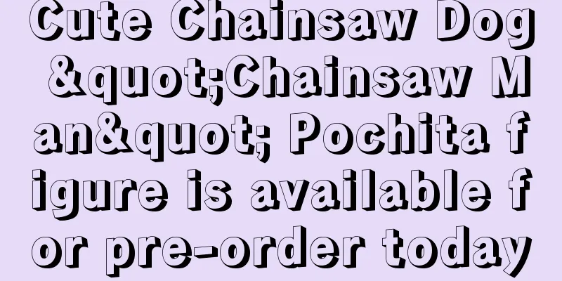 Cute Chainsaw Dog "Chainsaw Man" Pochita figure is available for pre-order today
