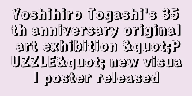 Yoshihiro Togashi's 35th anniversary original art exhibition "PUZZLE" new visual poster released