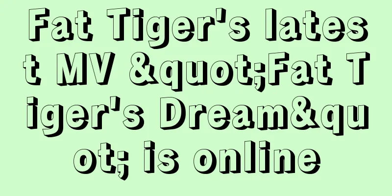 Fat Tiger's latest MV "Fat Tiger's Dream" is online