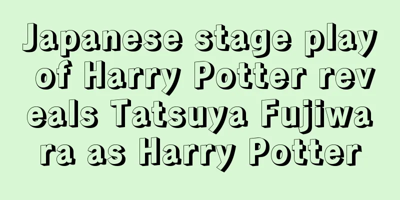 Japanese stage play of Harry Potter reveals Tatsuya Fujiwara as Harry Potter