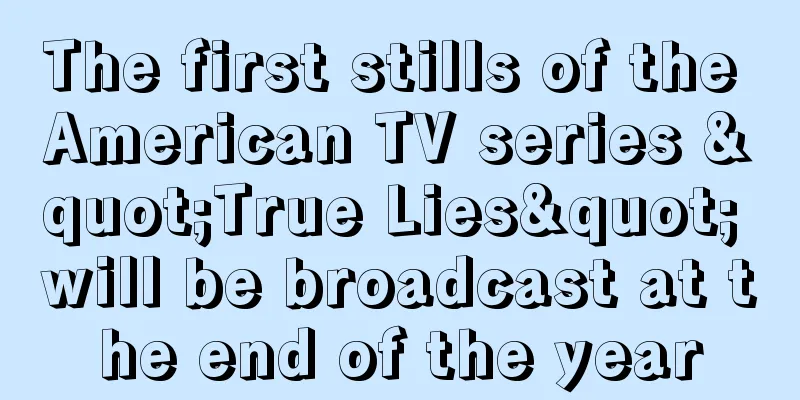 The first stills of the American TV series "True Lies" will be broadcast at the end of the year