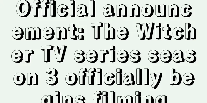 Official announcement: The Witcher TV series season 3 officially begins filming
