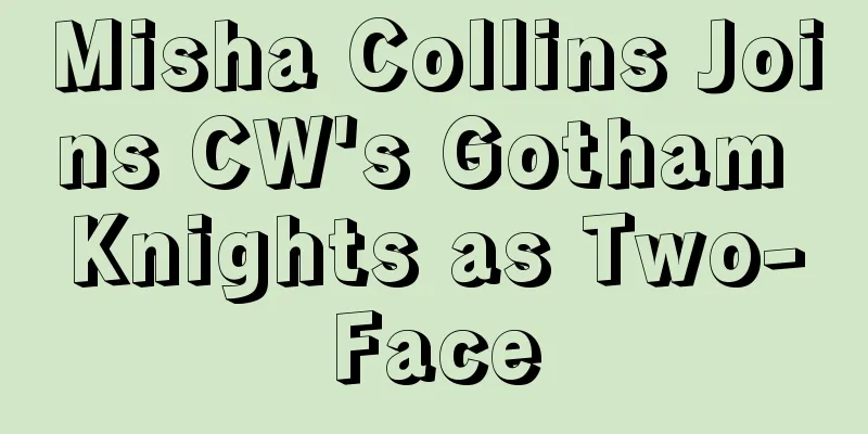 Misha Collins Joins CW's Gotham Knights as Two-Face