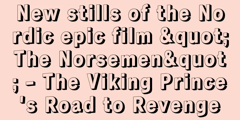 New stills of the Nordic epic film "The Norsemen" - The Viking Prince's Road to Revenge
