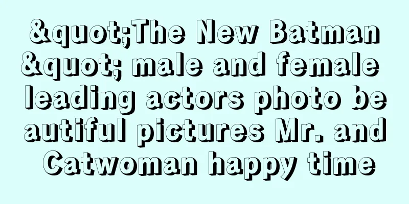 "The New Batman" male and female leading actors photo beautiful pictures Mr. and Catwoman happy time