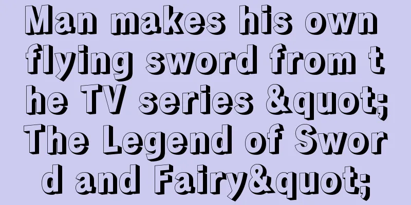 Man makes his own flying sword from the TV series "The Legend of Sword and Fairy"