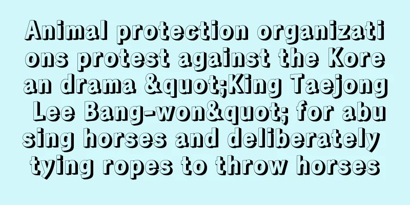 Animal protection organizations protest against the Korean drama "King Taejong Lee Bang-won" for abusing horses and deliberately tying ropes to throw horses