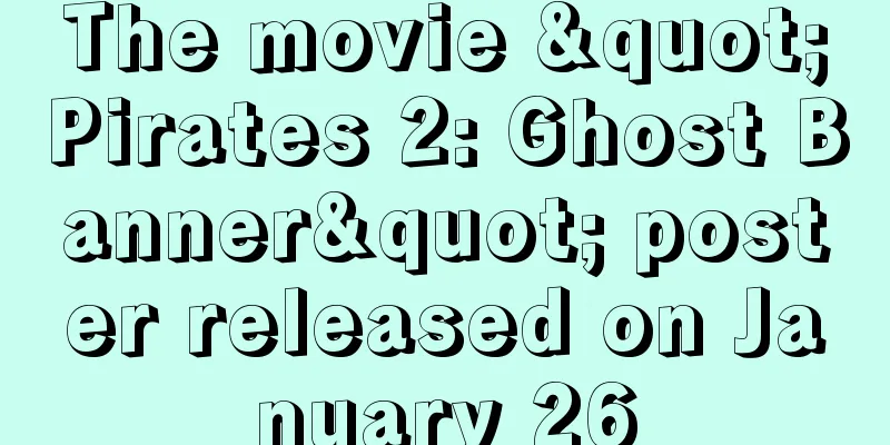 The movie "Pirates 2: Ghost Banner" poster released on January 26