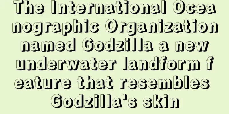 The International Oceanographic Organization named Godzilla a new underwater landform feature that resembles Godzilla's skin