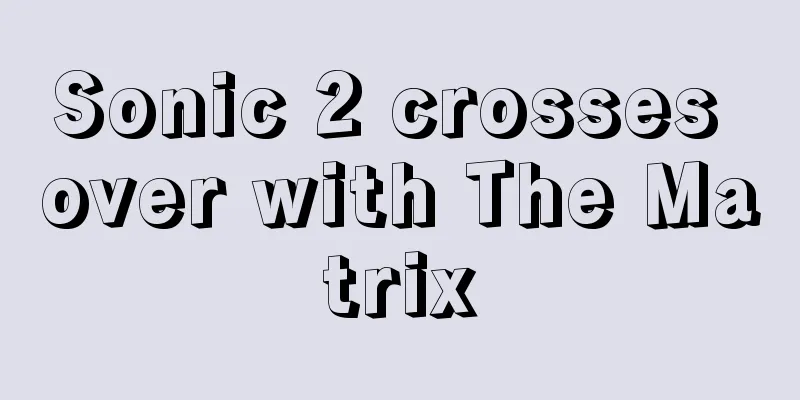 Sonic 2 crosses over with The Matrix