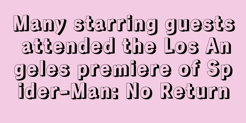 Many starring guests attended the Los Angeles premiere of Spider-Man: No Return