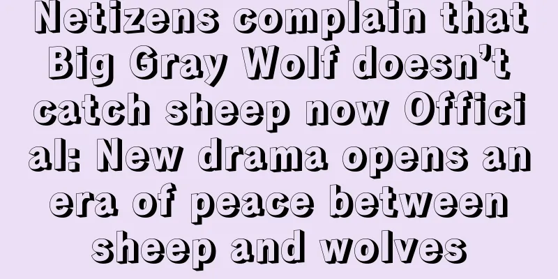 Netizens complain that Big Gray Wolf doesn’t catch sheep now Official: New drama opens an era of peace between sheep and wolves