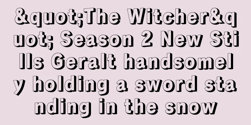 "The Witcher" Season 2 New Stills Geralt handsomely holding a sword standing in the snow