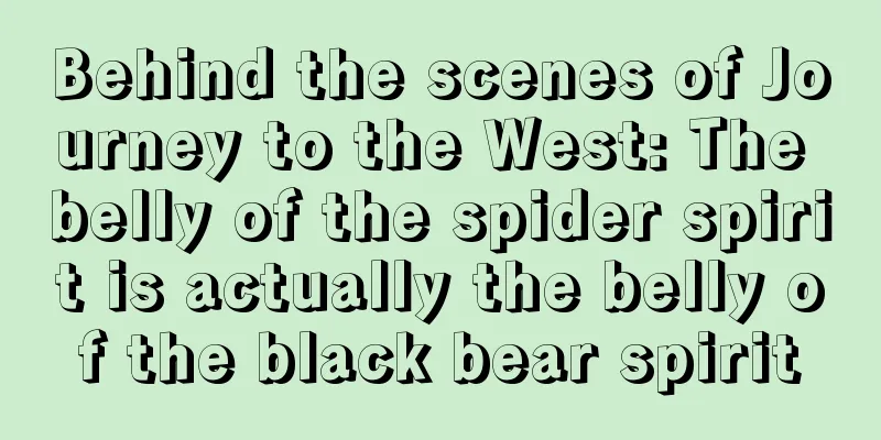 Behind the scenes of Journey to the West: The belly of the spider spirit is actually the belly of the black bear spirit