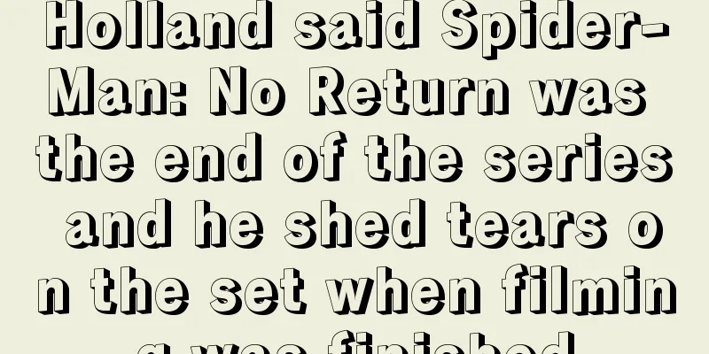 Holland said Spider-Man: No Return was the end of the series and he shed tears on the set when filming was finished