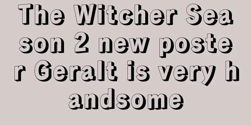 The Witcher Season 2 new poster Geralt is very handsome