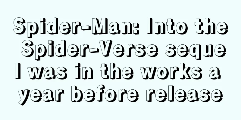 Spider-Man: Into the Spider-Verse sequel was in the works a year before release