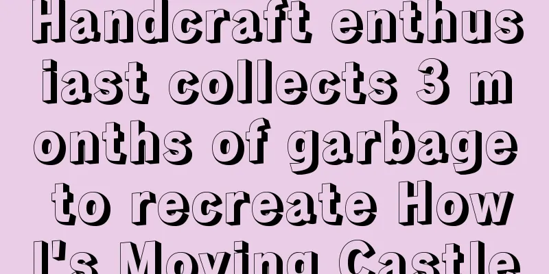 Handcraft enthusiast collects 3 months of garbage to recreate Howl's Moving Castle
