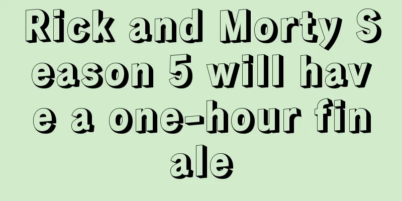 Rick and Morty Season 5 will have a one-hour finale