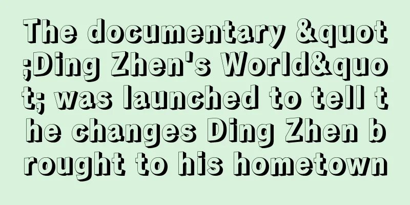The documentary "Ding Zhen's World" was launched to tell the changes Ding Zhen brought to his hometown