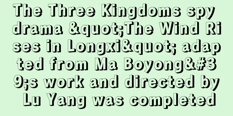 The Three Kingdoms spy drama "The Wind Rises in Longxi" adapted from Ma Boyong's work and directed by Lu Yang was completed