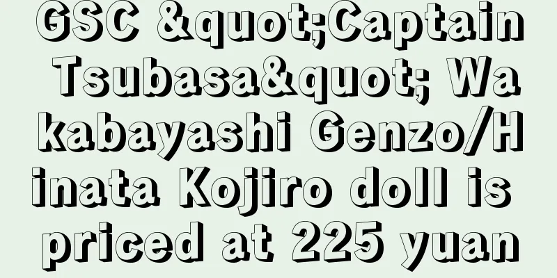 GSC "Captain Tsubasa" Wakabayashi Genzo/Hinata Kojiro doll is priced at 225 yuan