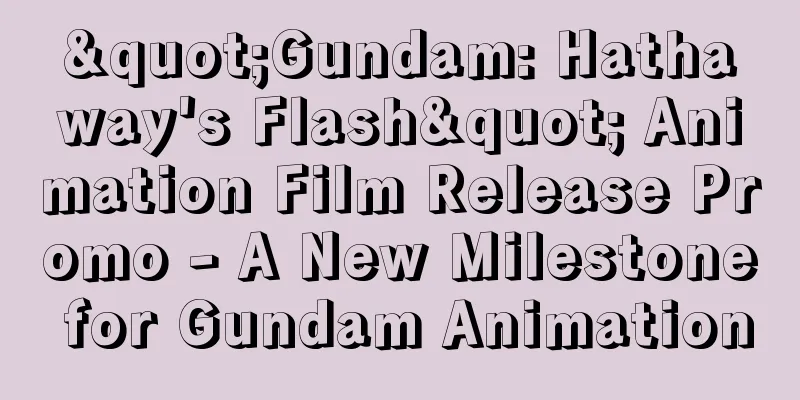 "Gundam: Hathaway's Flash" Animation Film Release Promo - A New Milestone for Gundam Animation