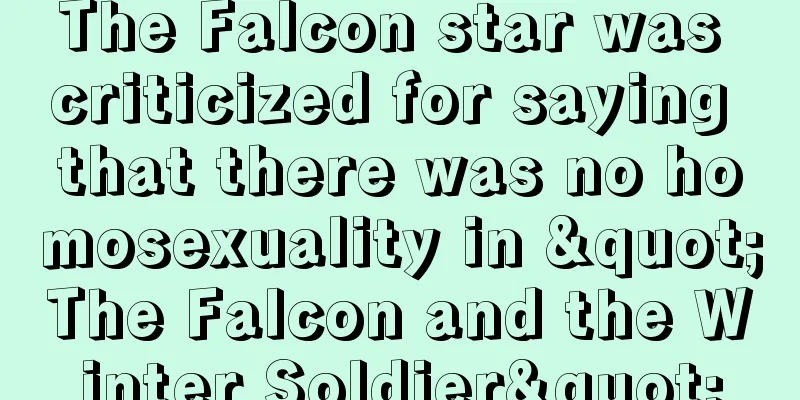 The Falcon star was criticized for saying that there was no homosexuality in "The Falcon and the Winter Soldier"
