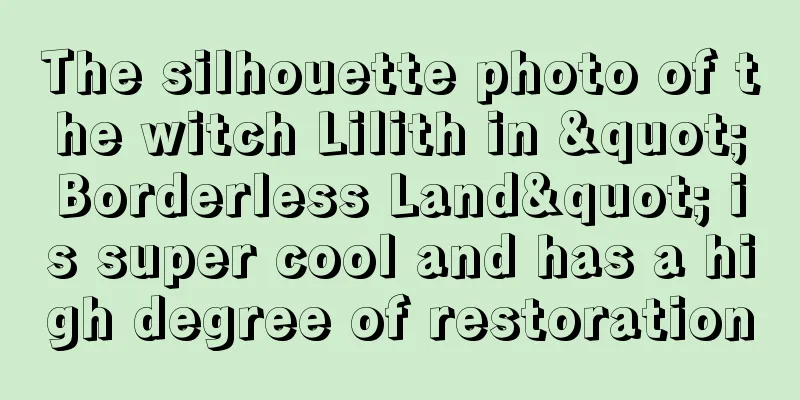The silhouette photo of the witch Lilith in "Borderless Land" is super cool and has a high degree of restoration