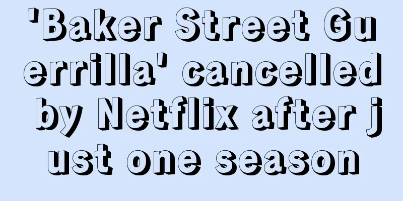 'Baker Street Guerrilla' cancelled by Netflix after just one season