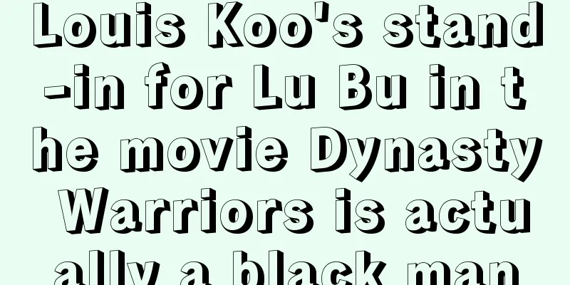 Louis Koo's stand-in for Lu Bu in the movie Dynasty Warriors is actually a black man