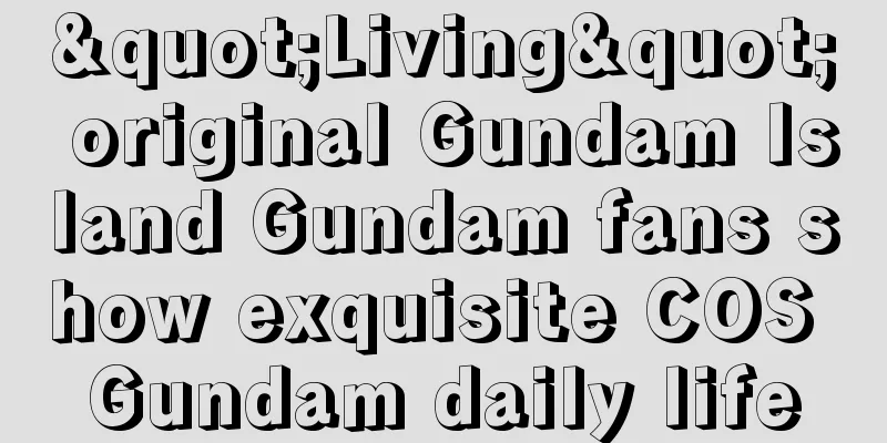 "Living" original Gundam Island Gundam fans show exquisite COS Gundam daily life