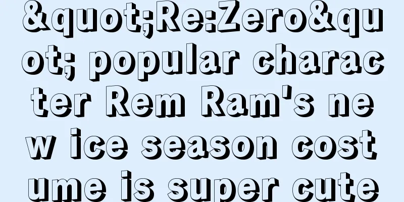 "Re:Zero" popular character Rem Ram's new ice season costume is super cute