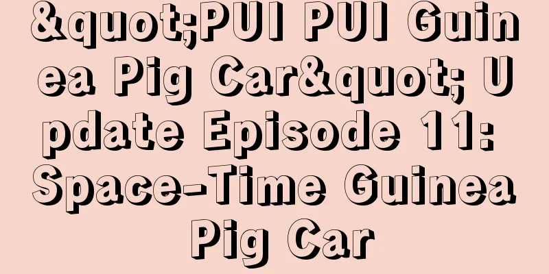"PUI PUI Guinea Pig Car" Update Episode 11: Space-Time Guinea Pig Car