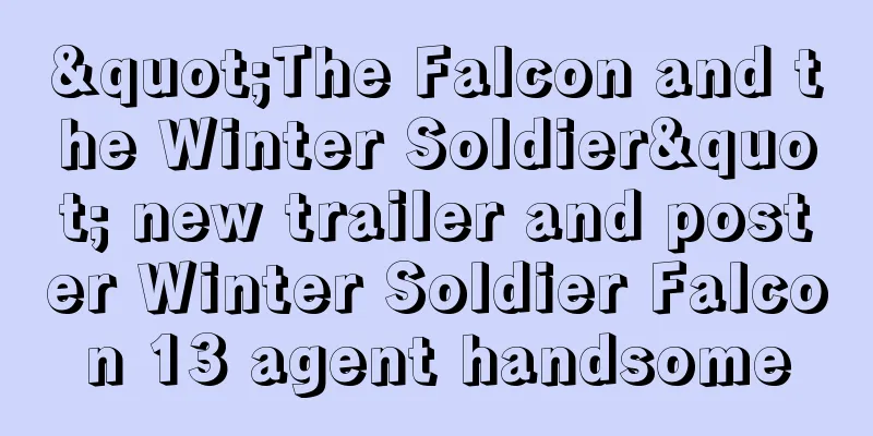 "The Falcon and the Winter Soldier" new trailer and poster Winter Soldier Falcon 13 agent handsome