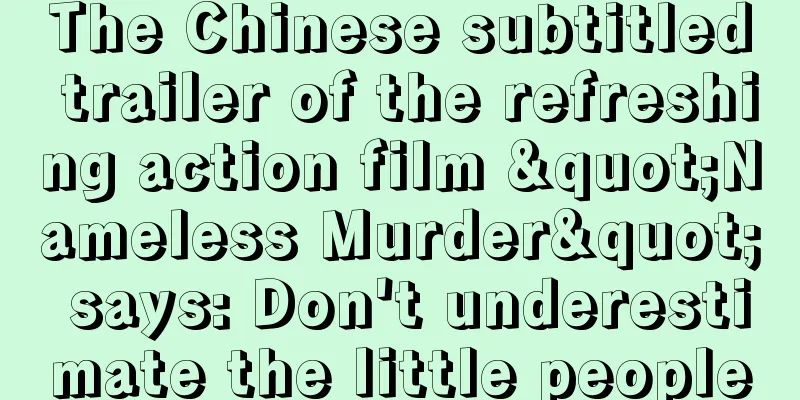 The Chinese subtitled trailer of the refreshing action film "Nameless Murder" says: Don't underestimate the little people