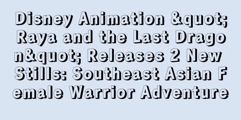 Disney Animation "Raya and the Last Dragon" Releases 2 New Stills: Southeast Asian Female Warrior Adventure