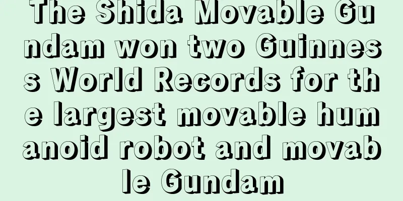 The Shida Movable Gundam won two Guinness World Records for the largest movable humanoid robot and movable Gundam
