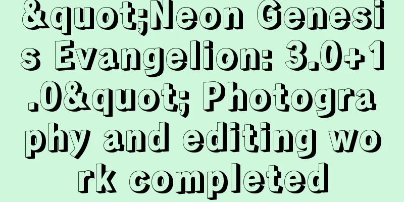 "Neon Genesis Evangelion: 3.0+1.0" Photography and editing work completed