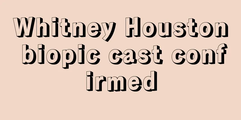 Whitney Houston biopic cast confirmed