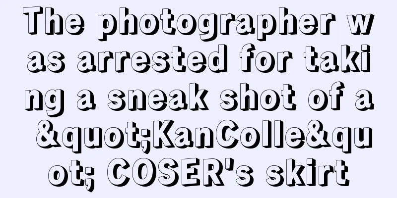 The photographer was arrested for taking a sneak shot of a "KanColle" COSER's skirt