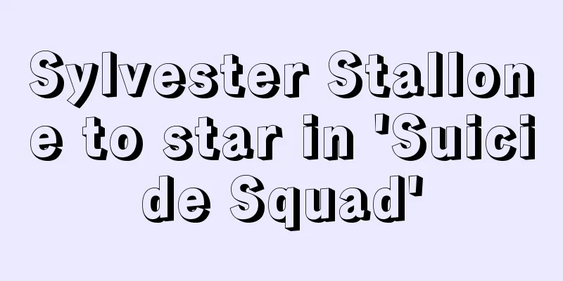 Sylvester Stallone to star in 'Suicide Squad'