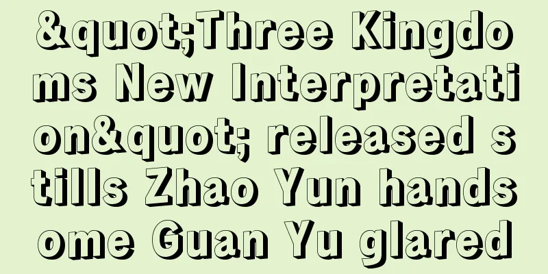 "Three Kingdoms New Interpretation" released stills Zhao Yun handsome Guan Yu glared