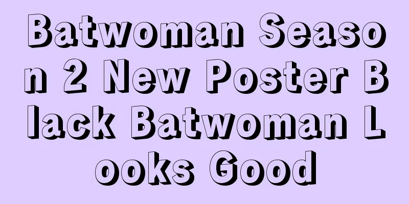 Batwoman Season 2 New Poster Black Batwoman Looks Good
