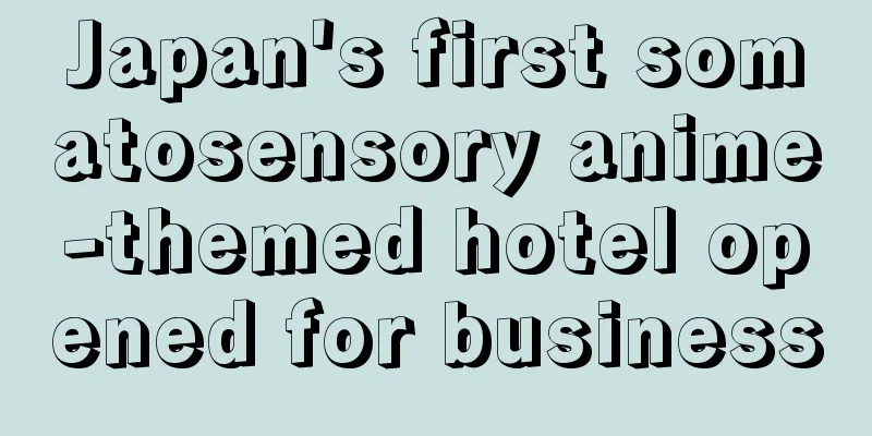 Japan's first somatosensory anime-themed hotel opened for business