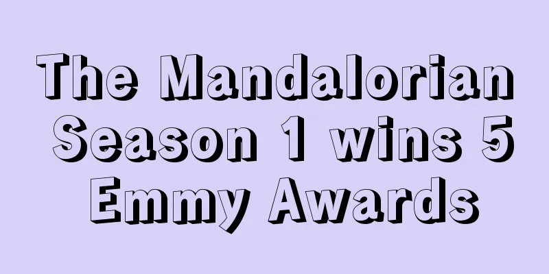 The Mandalorian Season 1 wins 5 Emmy Awards