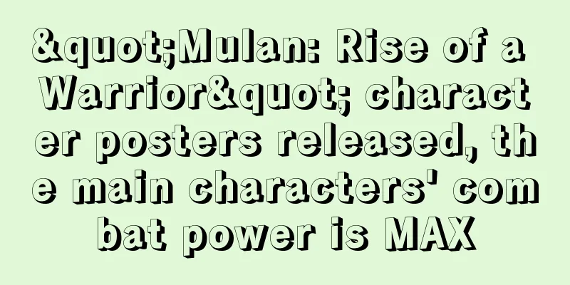 "Mulan: Rise of a Warrior" character posters released, the main characters' combat power is MAX