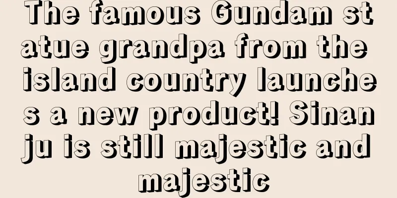 The famous Gundam statue grandpa from the island country launches a new product! Sinanju is still majestic and majestic