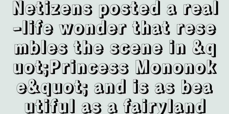 Netizens posted a real-life wonder that resembles the scene in "Princess Mononoke" and is as beautiful as a fairyland