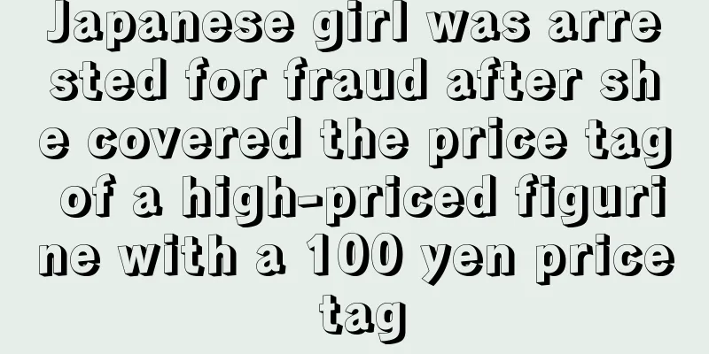 Japanese girl was arrested for fraud after she covered the price tag of a high-priced figurine with a 100 yen price tag